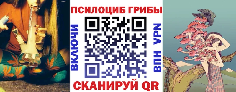 Псилоцибиновые грибы Magic Shrooms  купить  цена  Заводоуковск 