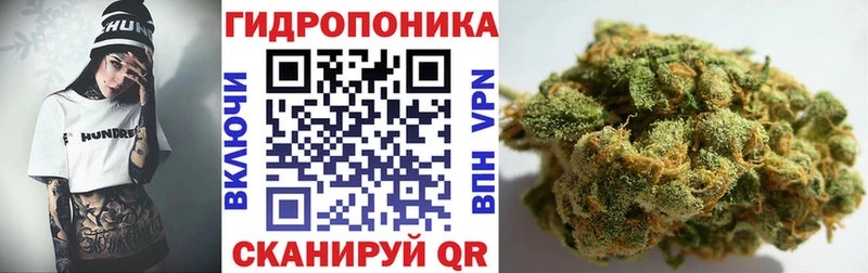 купить наркотики сайты  Заводоуковск  Конопля LSD WEED 